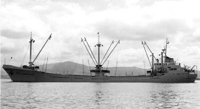 Maria del Camino Tartiere por T. Diedrich Maria del Camino Tartiere por T. Diedrich